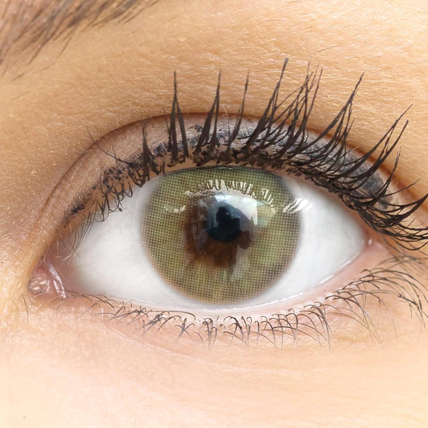 GLAMLENS Monatslinsen Stark deckende & natürliche Linsen Jasmine Light Green mit/ohne Stärke