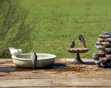 Dekowunder Vogeltränke rund Vogelbecken Futterschale Wasserstelle Terracotta
