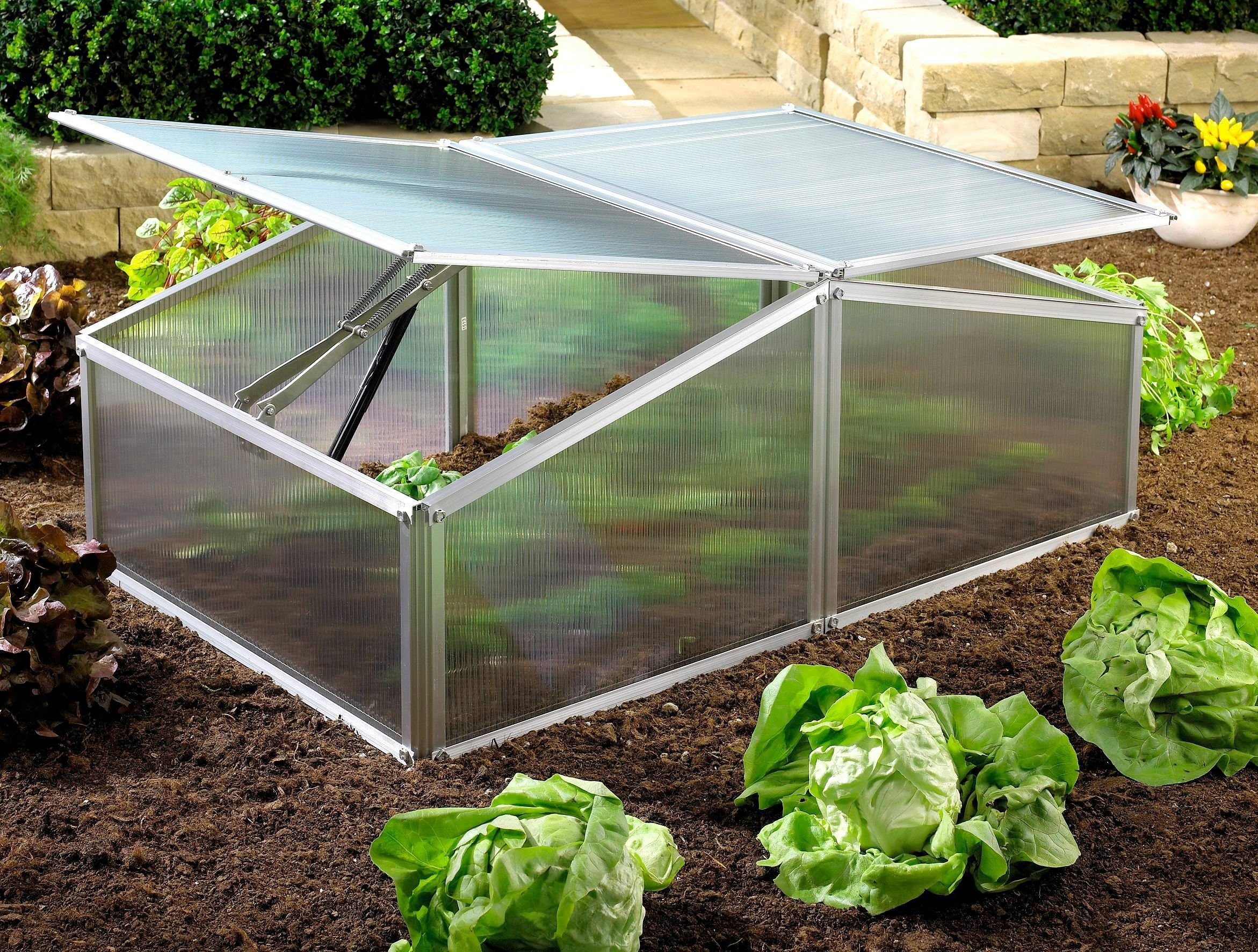 KONIFERA Frühbeet Sunny XS, BxTxH: 102x60x40 cm