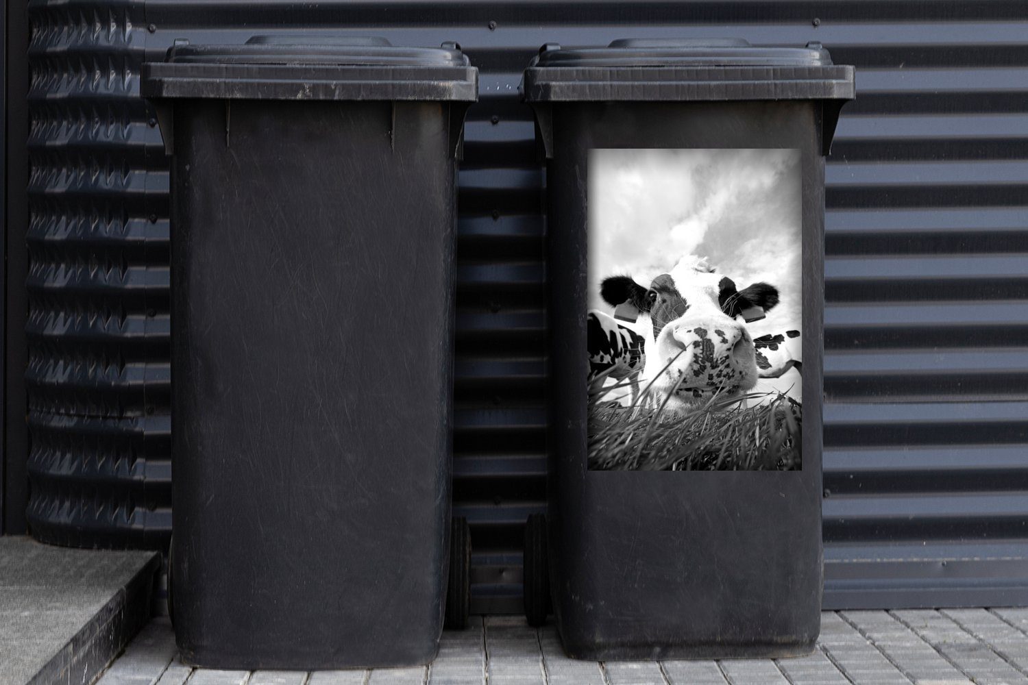 MuchoWow Wandsticker Kuh und - schwarz Nahaufnahme Mülleimer-aufkleber, weiß St), Sticker, Mülltonne, Container, Abfalbehälter (1