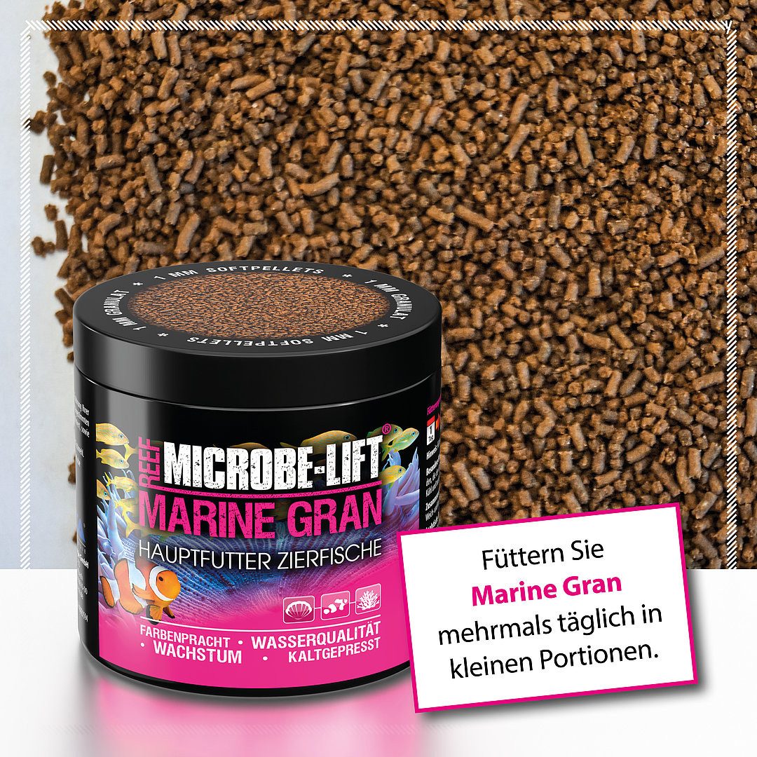 Terrarien-Substrat Microbe-Lift MarineGran Granulatfutter Meerwasser Hauptfutter