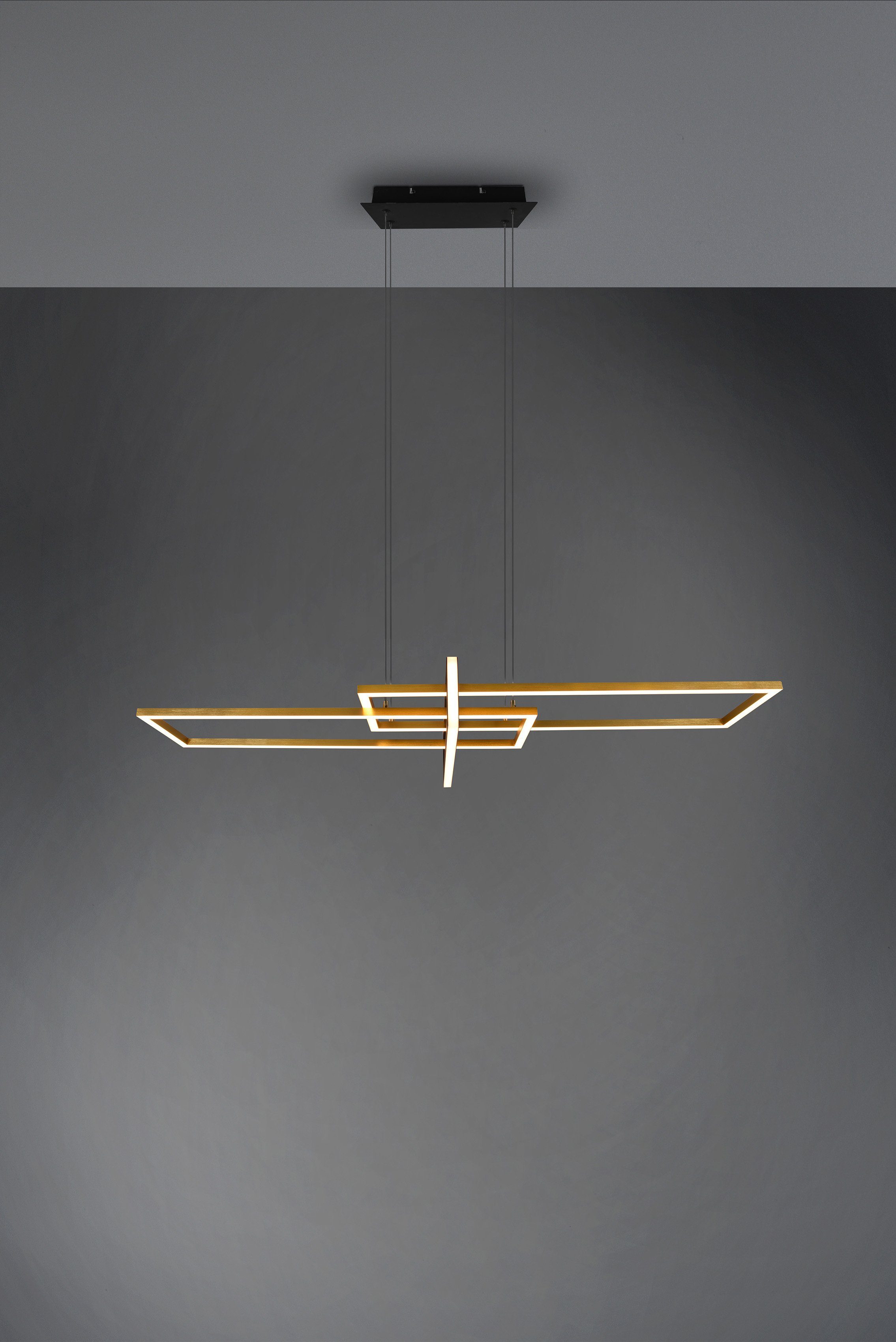 TRIO Leuchten LED Pendelleuchte ALICA, mehrere Helligkeitsstufen, LED fest integriert, Warmweiß, mit Switch Dimmer, über Wandschalter dimmbar, Abhängung 150 cm