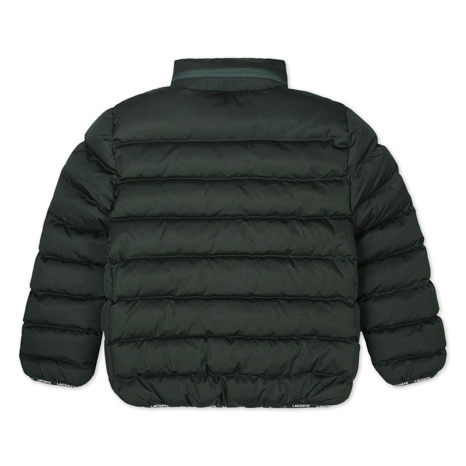 Lacoste Steppjacke Lacoste Kids Steppjacke dunkelgrün mit Kapuze wasserabweisend & warm