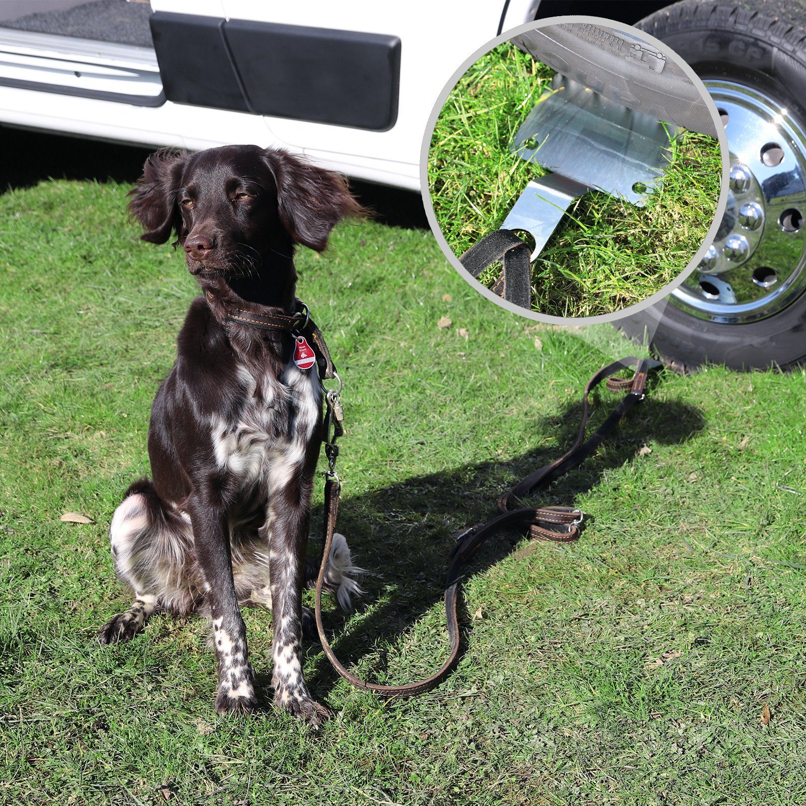 APT Autohundegeschirr »Dogholder Bodenanker für Hunde aus Edelstahl, Hun«  online kaufen | OTTO