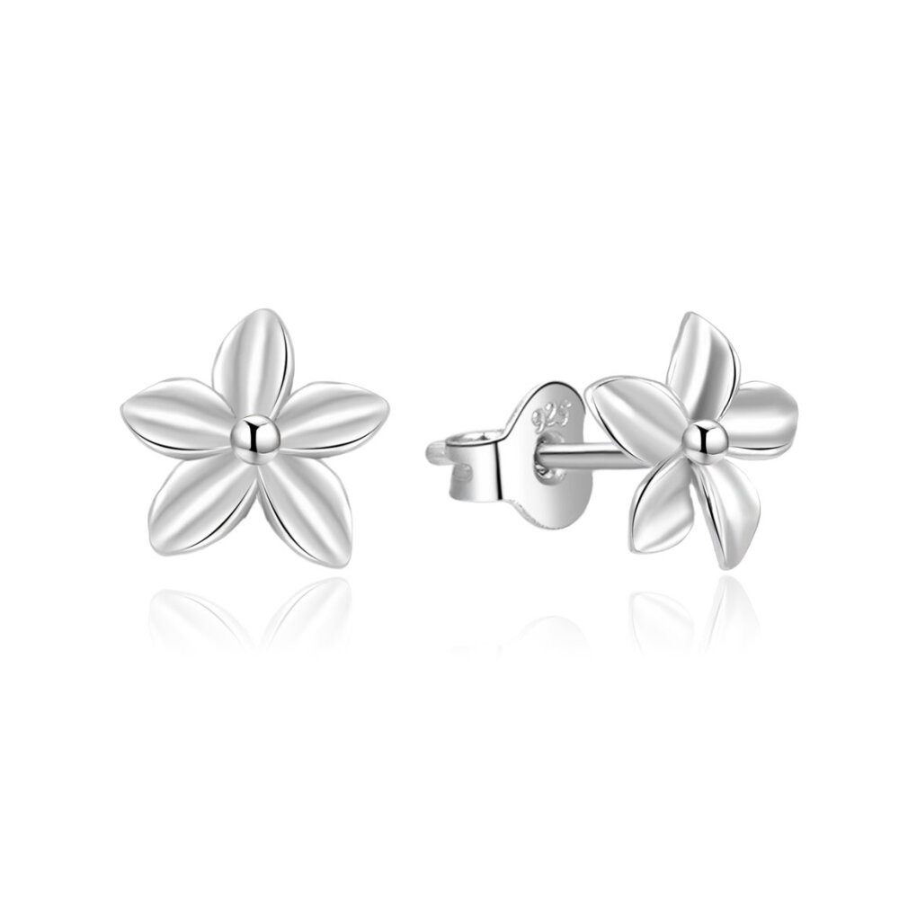 Ohrring-Set Feinsilber-Ohrringe Ohrstecker AGUP747L