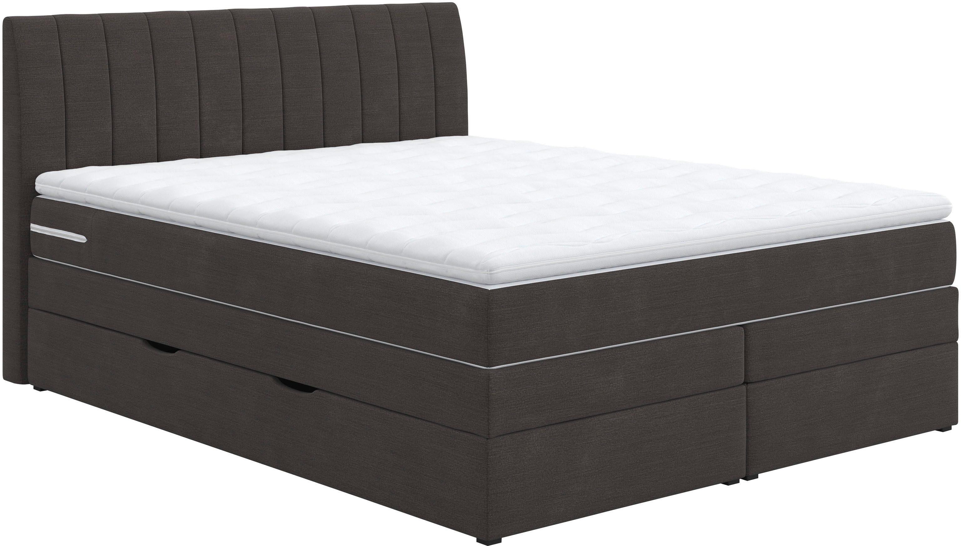 COTTA Boxspringbett Shark inkl. Bettkasten und günstig online kaufen