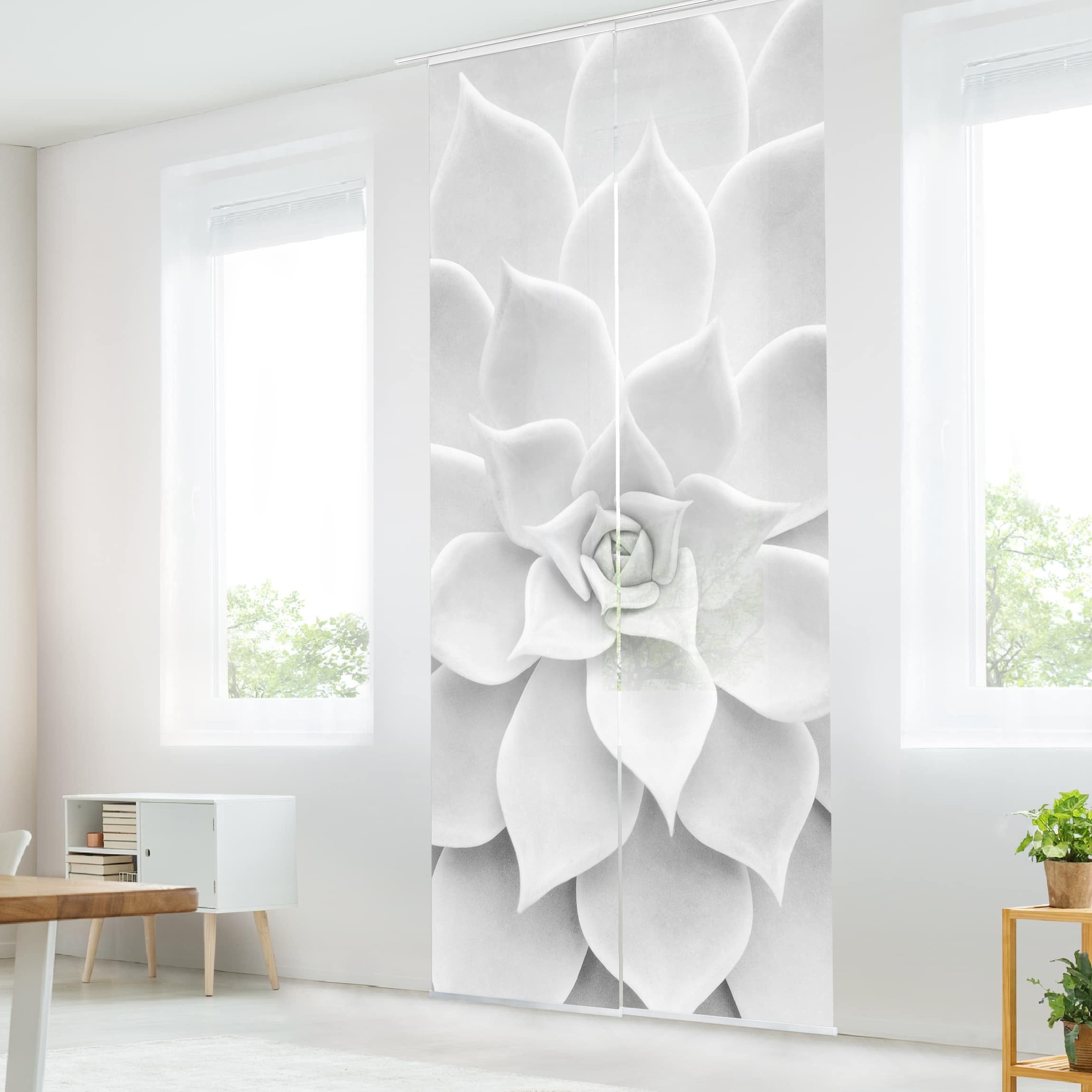 Bilderdepot24 Schiebegardine modern Flächenvorhang blickdicht Kaktus günstig online kaufen