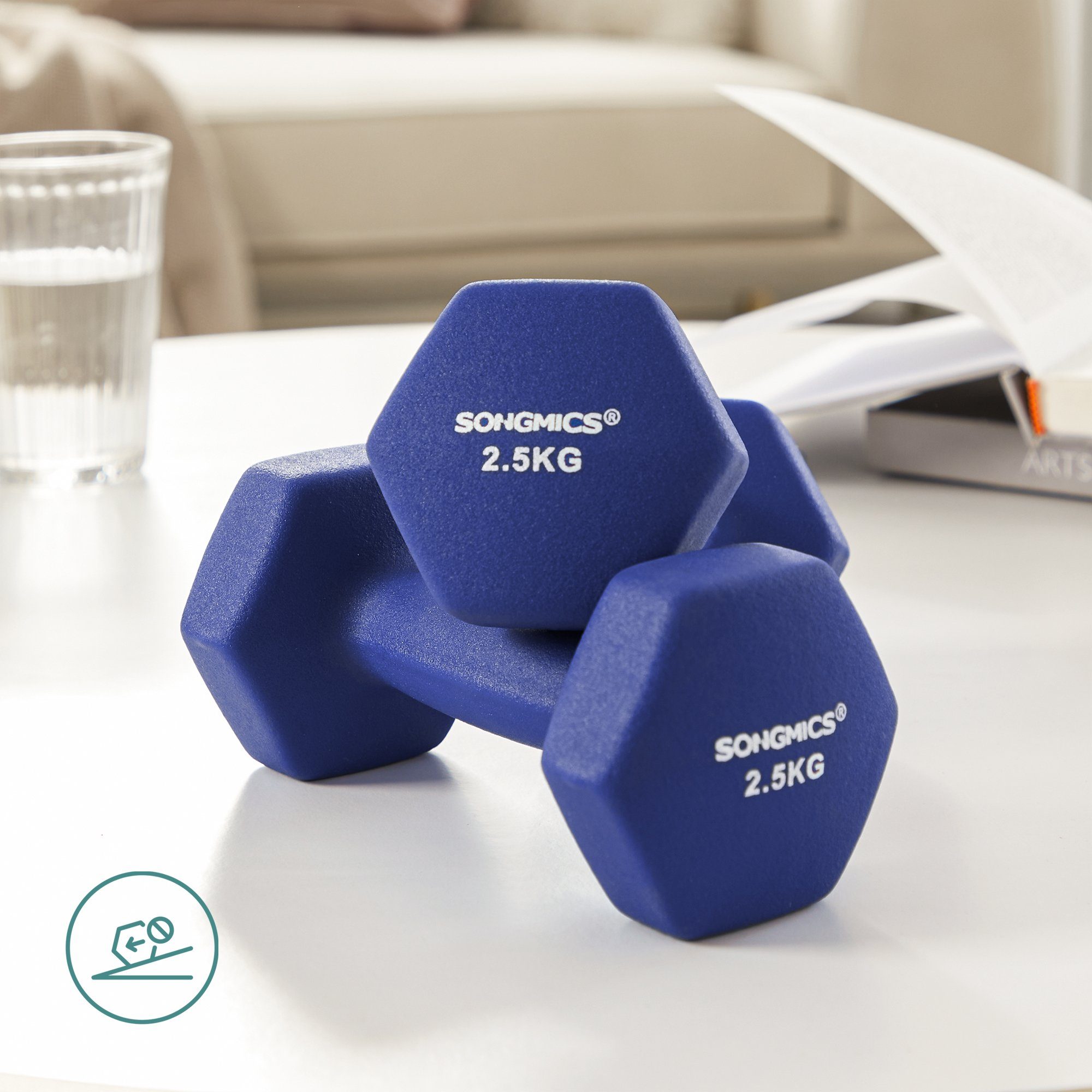 SONGMICS Kurzhantel Kurzhanteln, 2er Set, Krafttraining, zu Hause, Büro