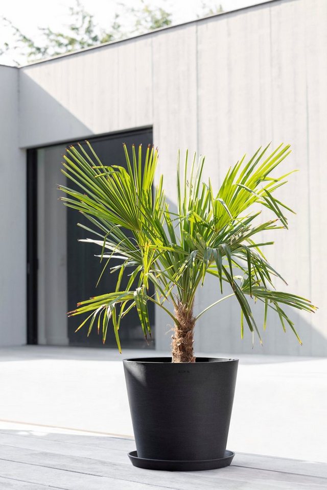 Thumbnail - ECOPOTS Blumentopf Amsterdam, ØxH: 40x35 cm