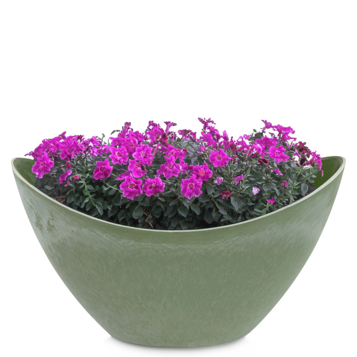 matches21 HOME & HOBBY Blumentopf Pflanzschale Jardiniere 20 cm oval Stein-Optik grün für außen (1 St), Outdoor Schiff Deko-Schale als Blumen-Schale Pflanz-Topf Garten-Deko