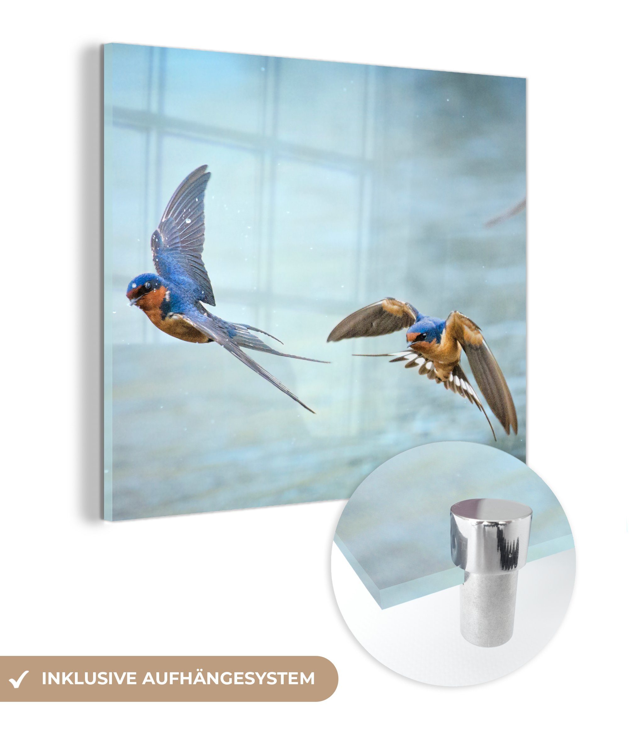 MuchoWow Acrylglasbild Schwalbe - (1 Glas auf - Glasbilder - - Wasser Blau, Bilder Glas Wanddekoration auf Wandbild - Foto St)