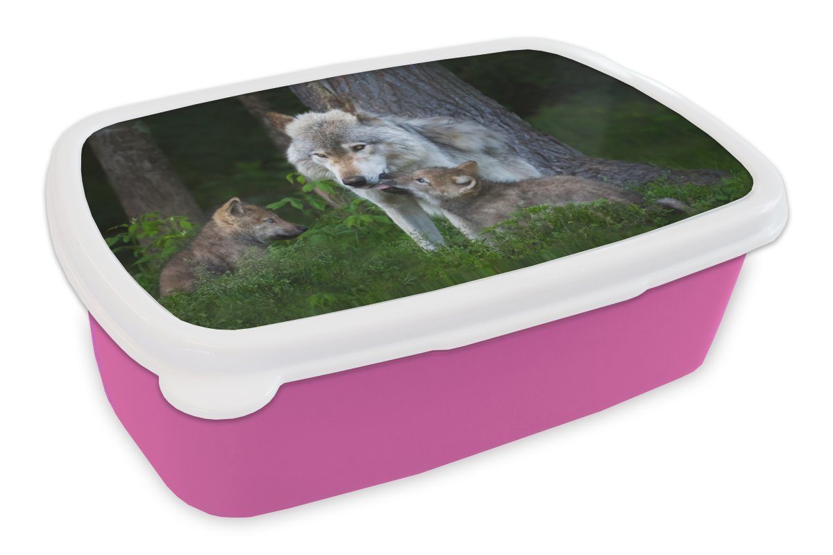 MuchoWow Lunchbox Wolf - Moos - Wald - Welpe, Kunststoff, (2-tlg), Brotbox für Erwachsene, Brotdose Kinder, Snackbox, Mädchen, Kunststoff rosa