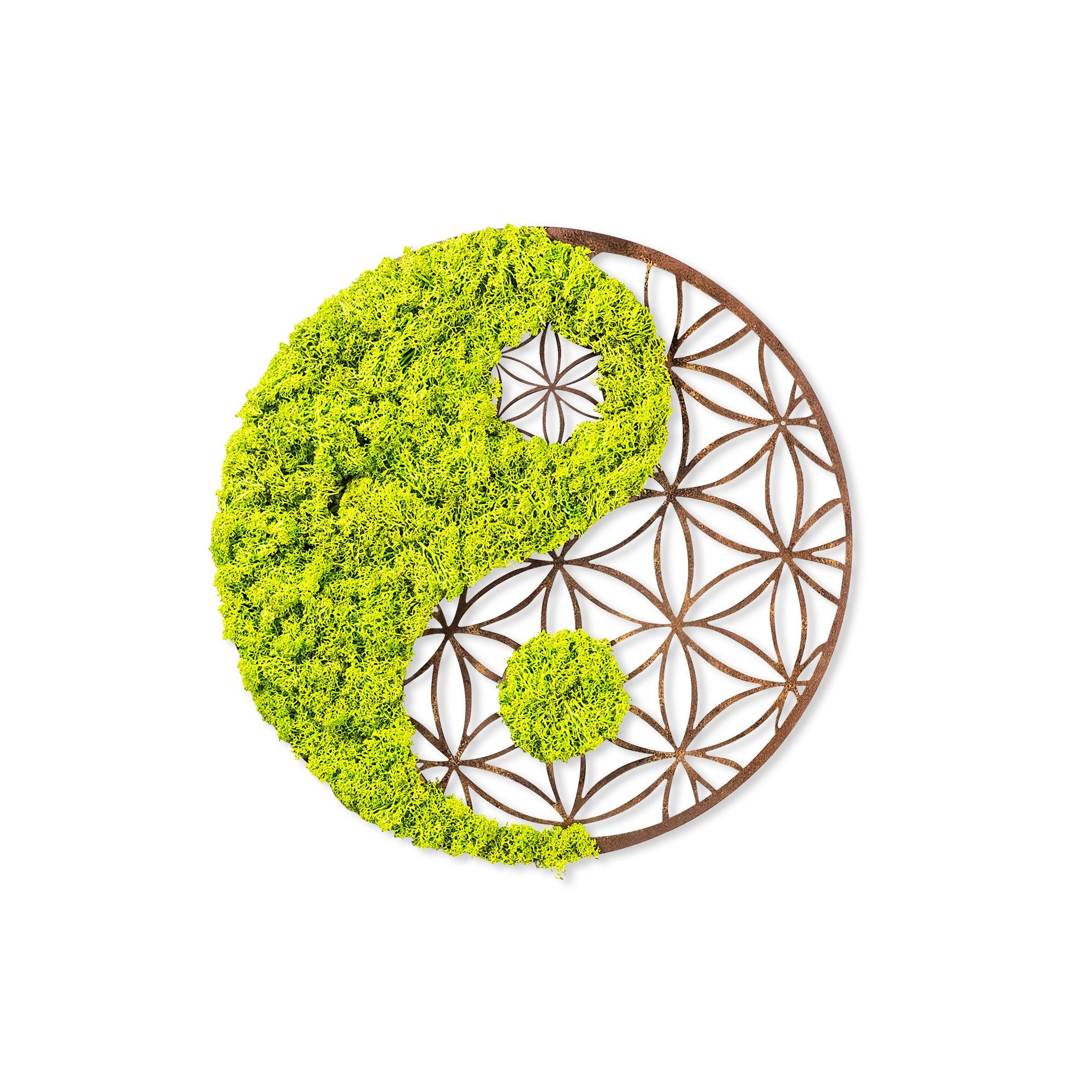 Wallity Wanddekoobjekt 100% MDF / MOSS günstig online kaufen
