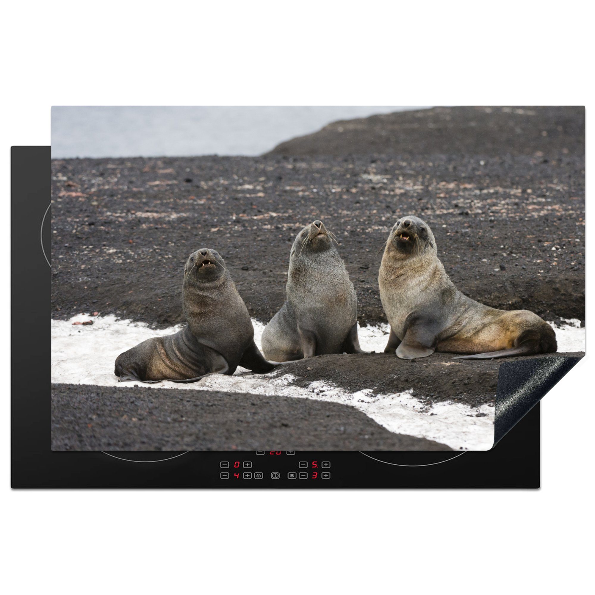 MuchoWow Herdblende-/Abdeckplatte Drei Seehunde sitzen am dunklen Strand, Vinyl, (1 tlg), 81x52 cm, Induktionskochfeld Schutz für die küche, Ceranfeldabdeckung