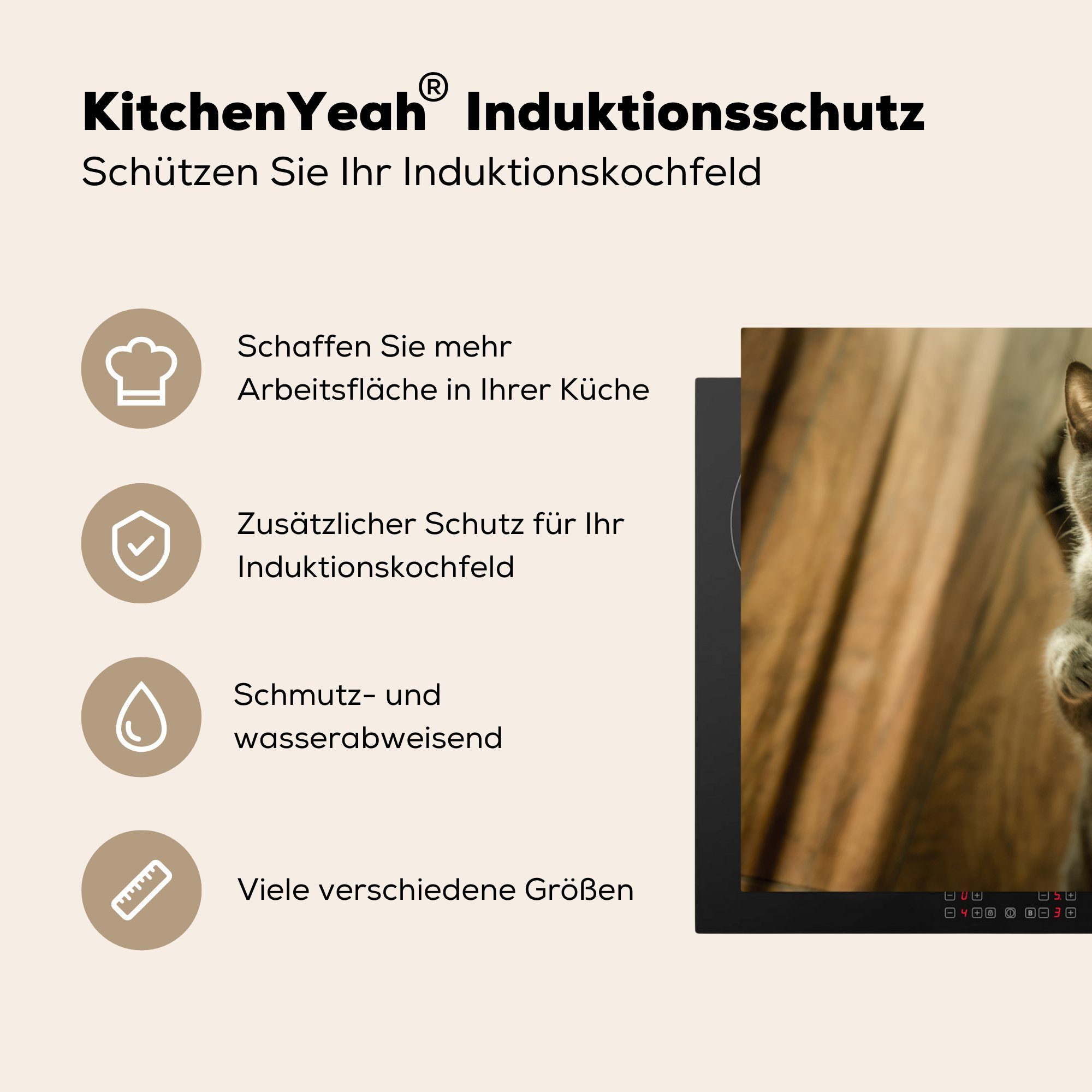 cm, Induktionskochfeld MuchoWow Vinyl, - tlg), - für Ceranfeldabdeckung die Katzen 81x52 Boden Herdblende-/Abdeckplatte küche, (1 Grau, Schutz
