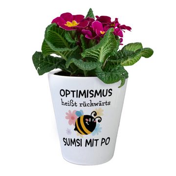 speecheese Blumentopf Bienen Blumentopf mit Spruch Optimismus heißt rückwärts Sumsi mit Po