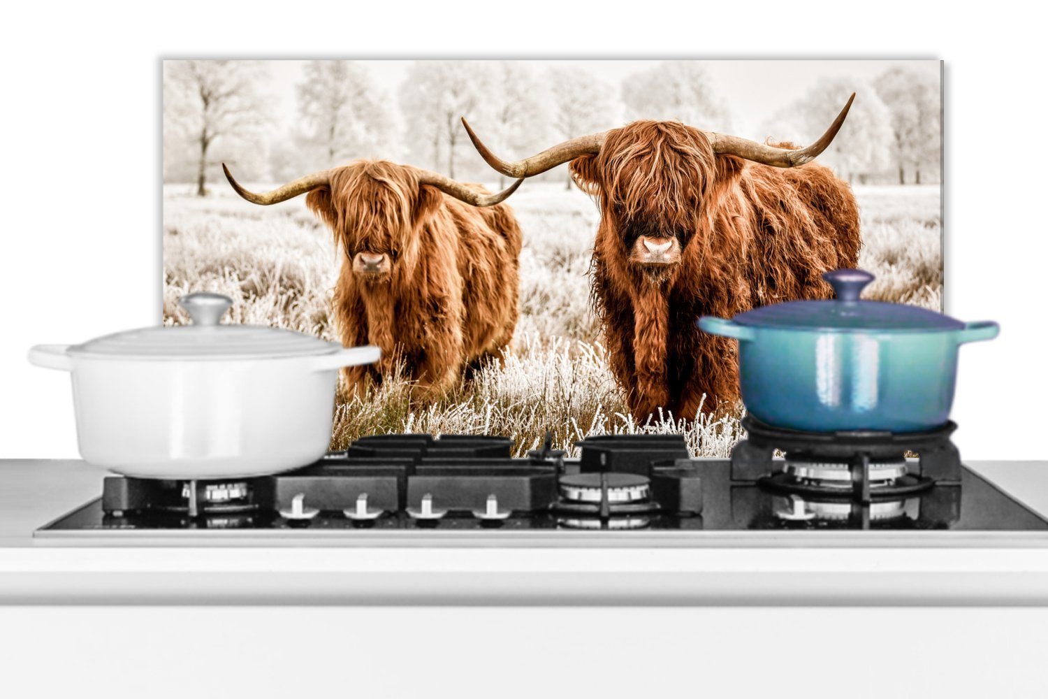 - Küchen cm, Highlander MuchoWow Fett Schottischer Kuh, 60x30 und für (1-tlg), Wandschutz, gegen Tiere Küchenrückwand - Schmutzflecken