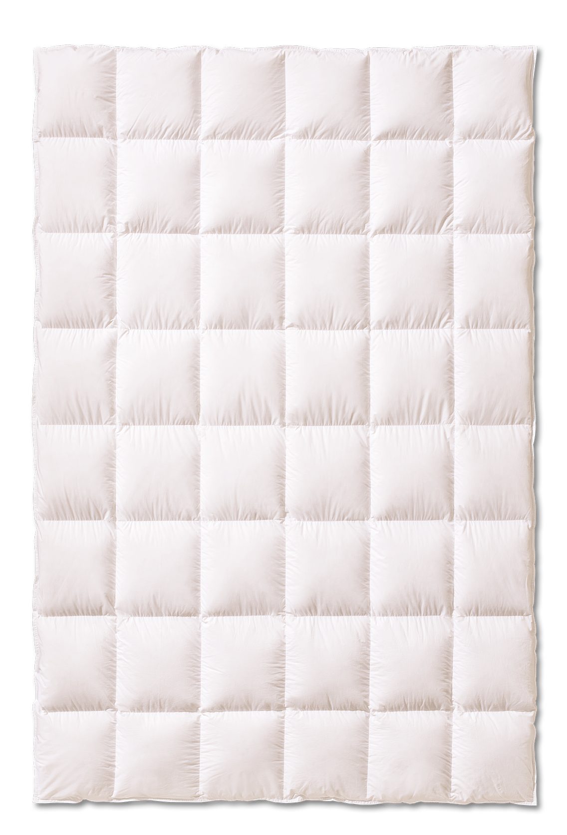 Kauffmann Daunenbettdecke Ganzjahresdaunendecke Superior - Medium mit 1,5 cm Steghöhe, Füllung: 100% Daunen, Bezug: 100% Baumwolle, Ganzjahresdecke mit ausgewogenem Wärmevermögen