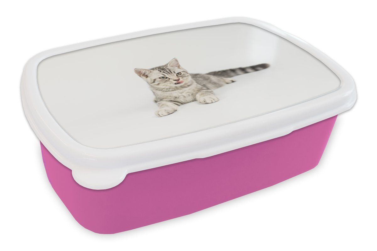 MuchoWow Lunchbox Kitten - Weiß - Sohle - Mädchen - Kinder - Jungen - Kind, Kunststoff, (2-tlg), Brotbox für Erwachsene, Brotdose Kinder, Snackbox, Mädchen, Kunststoff rosa