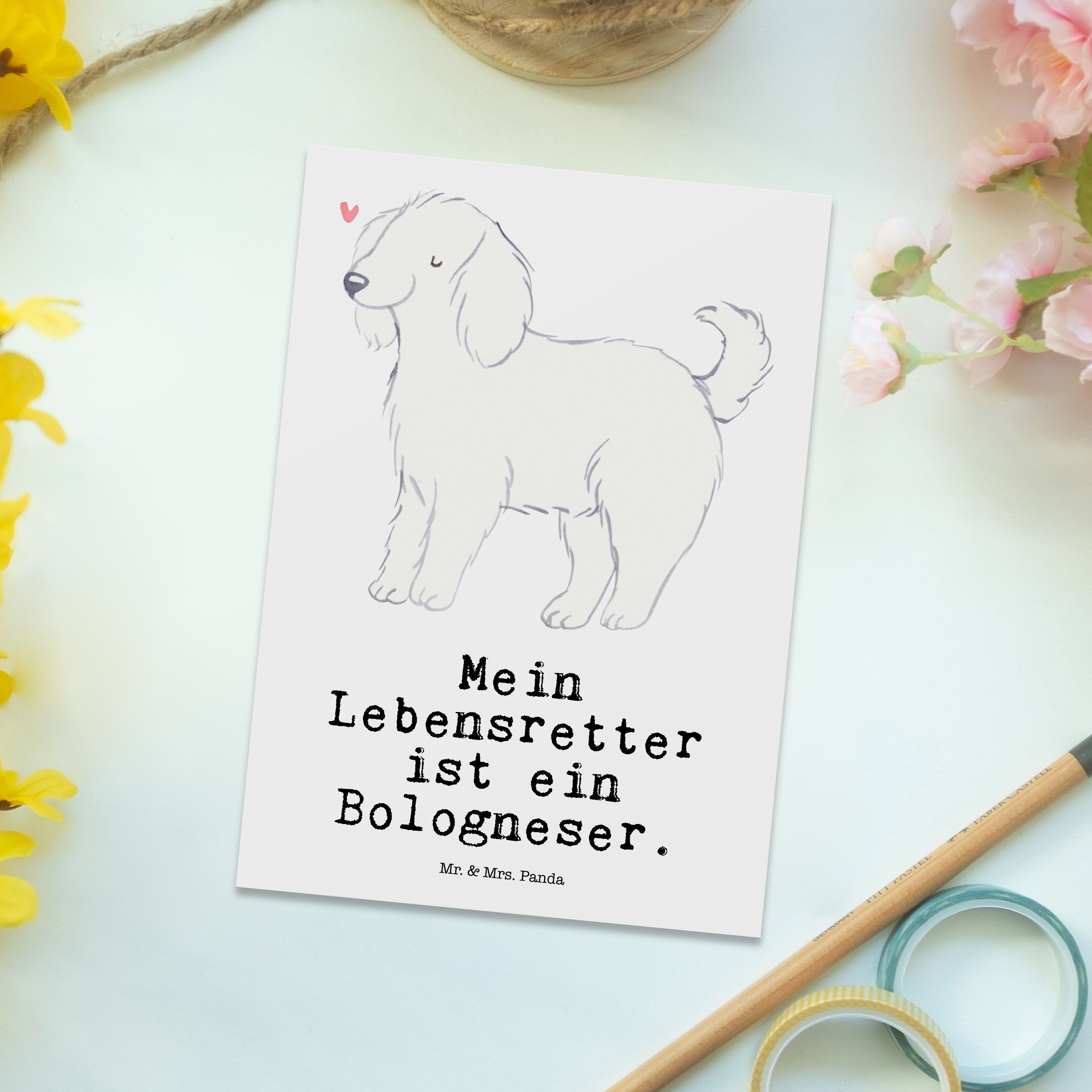 Bologneser Dan - Hunderasse, Grußkarte, Lebensretter Geschenk, Panda & Mrs. Weiß Postkarte - Mr.