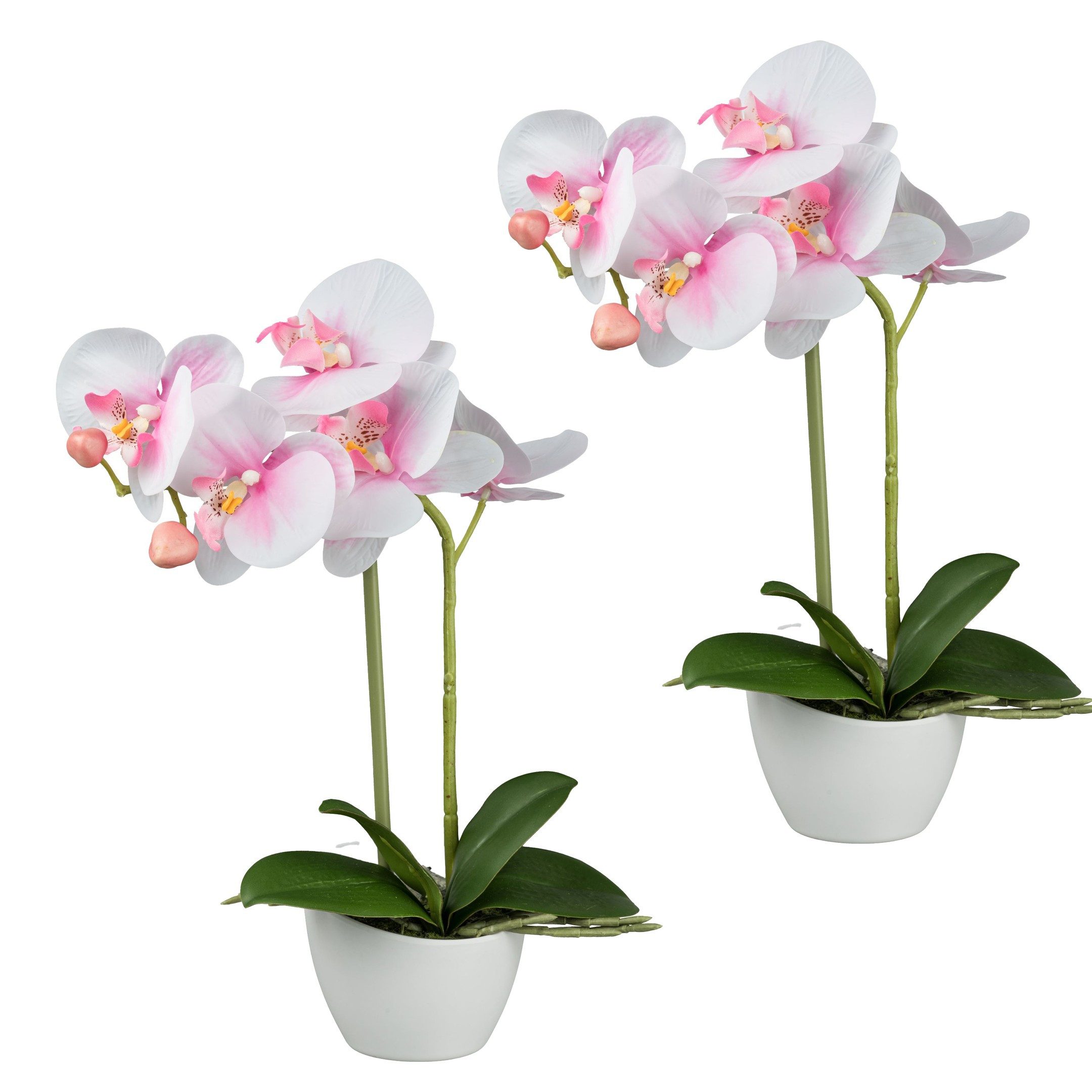 Kunstpflanze 2er Set Phalaenopsis im weißen Melaminetopf, 33 cm, rosa "Real Touch"