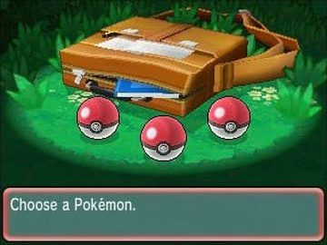 Pokémon Omega Rubin Nintendo 3DS