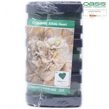 Oasis Schaumgummi OASIS® IDEAL Herzen - 12 x 14 x 3,5cm - 6 St.