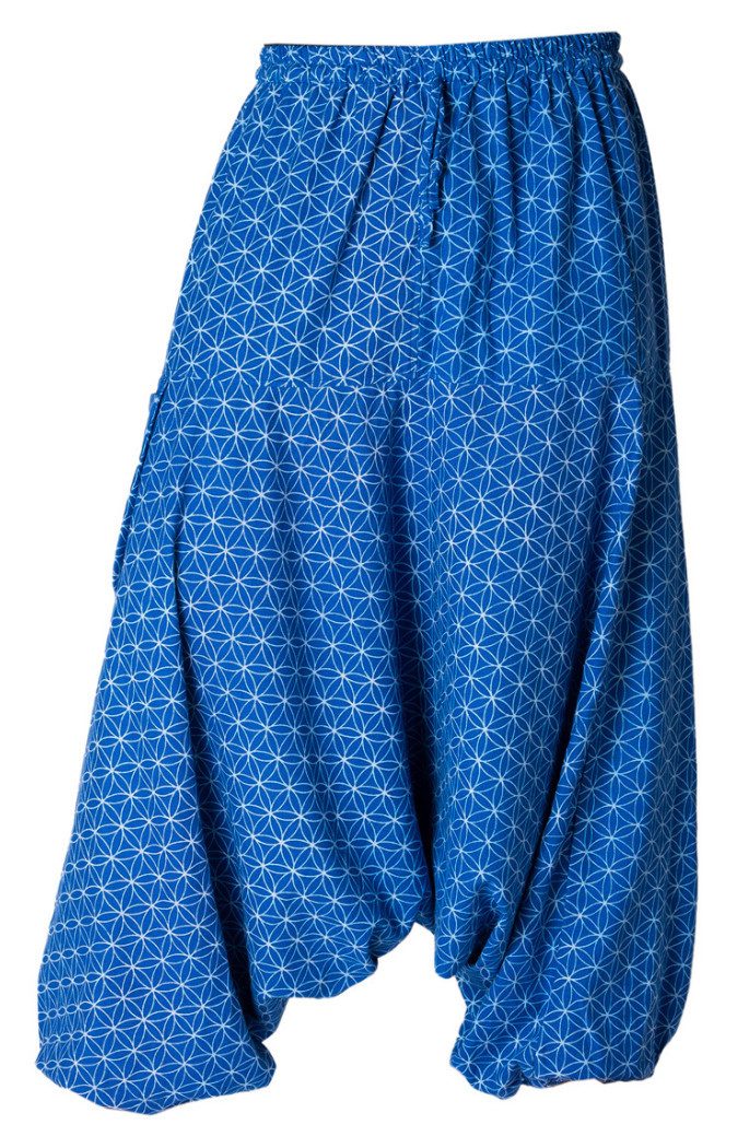 Lebensblume blau