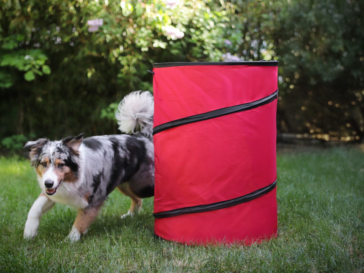 Procyon Agility-Hürde Hoopers Tonne für Hundesport, Hundetraining ohne Sprünge, Agility, Strukturgewebe, (1-tlg)