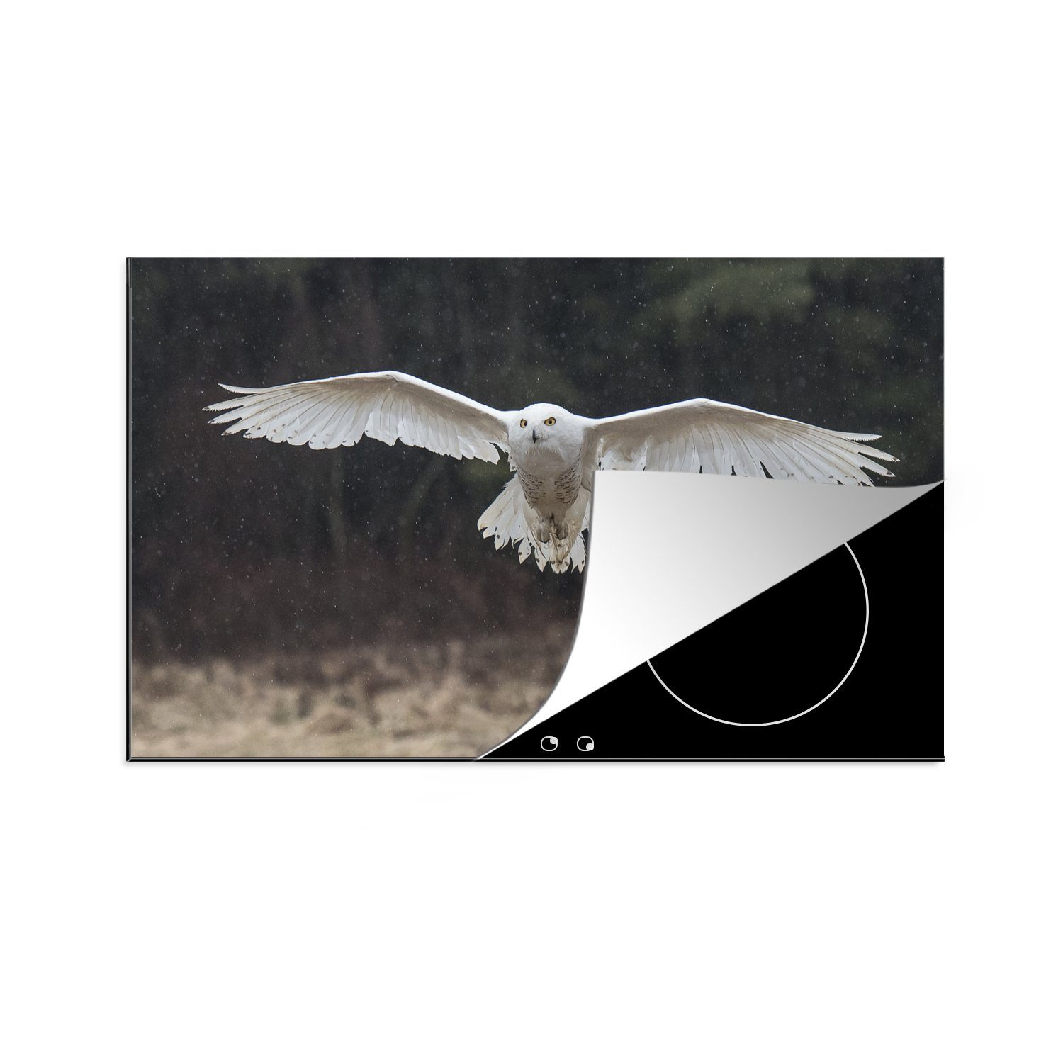MuchoWow Herdblende-/Abdeckplatte Schneeeule fliegt mit ausgebreiteten Flügeln, Vinyl, (1 tlg), 83x51 cm, Ceranfeldabdeckung, Arbeitsplatte für küche
