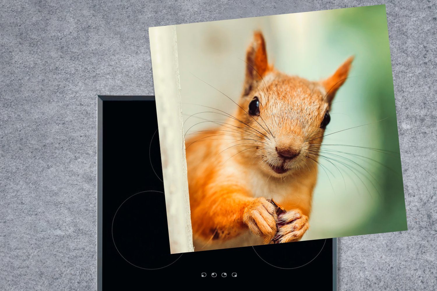 Jungen - MuchoWow Eichhörnchen - - Vinyl, Mädchen - - Arbeitsplatte für Ceranfeldabdeckung, cm, Lustig 78x78 Kind, tlg), küche (1 Nuss Herdblende-/Abdeckplatte Kinder -