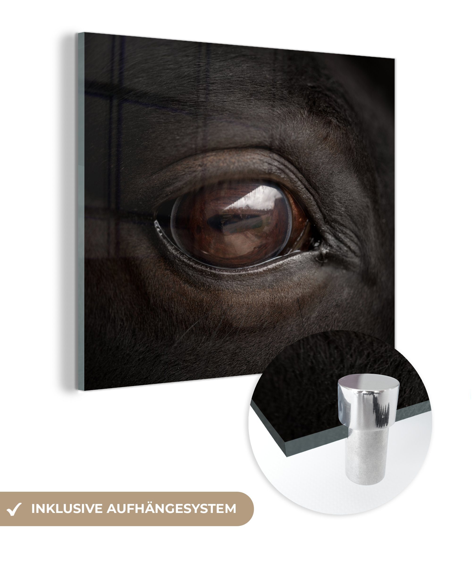 MuchoWow Acrylglasbild Nahaufnahme eines Pferdeauges, (1 St), Glasbilder - Bilder auf Glas Wandbild - Foto auf Glas - Wanddekoration