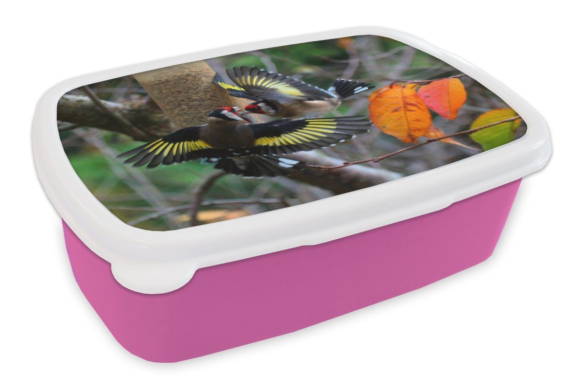 MuchoWow Lunchbox Zwei Stieglitze fliegen dicht an den Zweigen entlang, Kunststoff, (2-tlg), Brotbox für Erwachsene, Brotdose Kinder, Snackbox, Mädchen, Kunststoff rosa