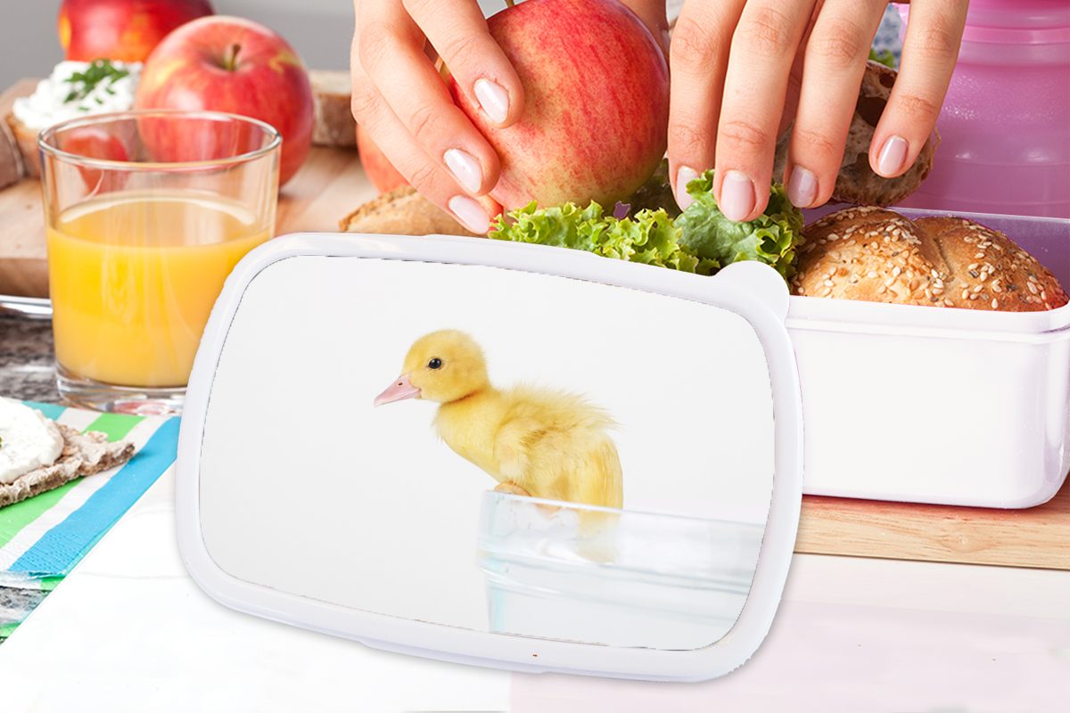MuchoWow Lunchbox Baby-Ente klettert für Jungs Erwachsene, weiß Mädchen für und Kinder und aus Brotbox Kunststoff, Wanne, einer Brotdose, (2-tlg)