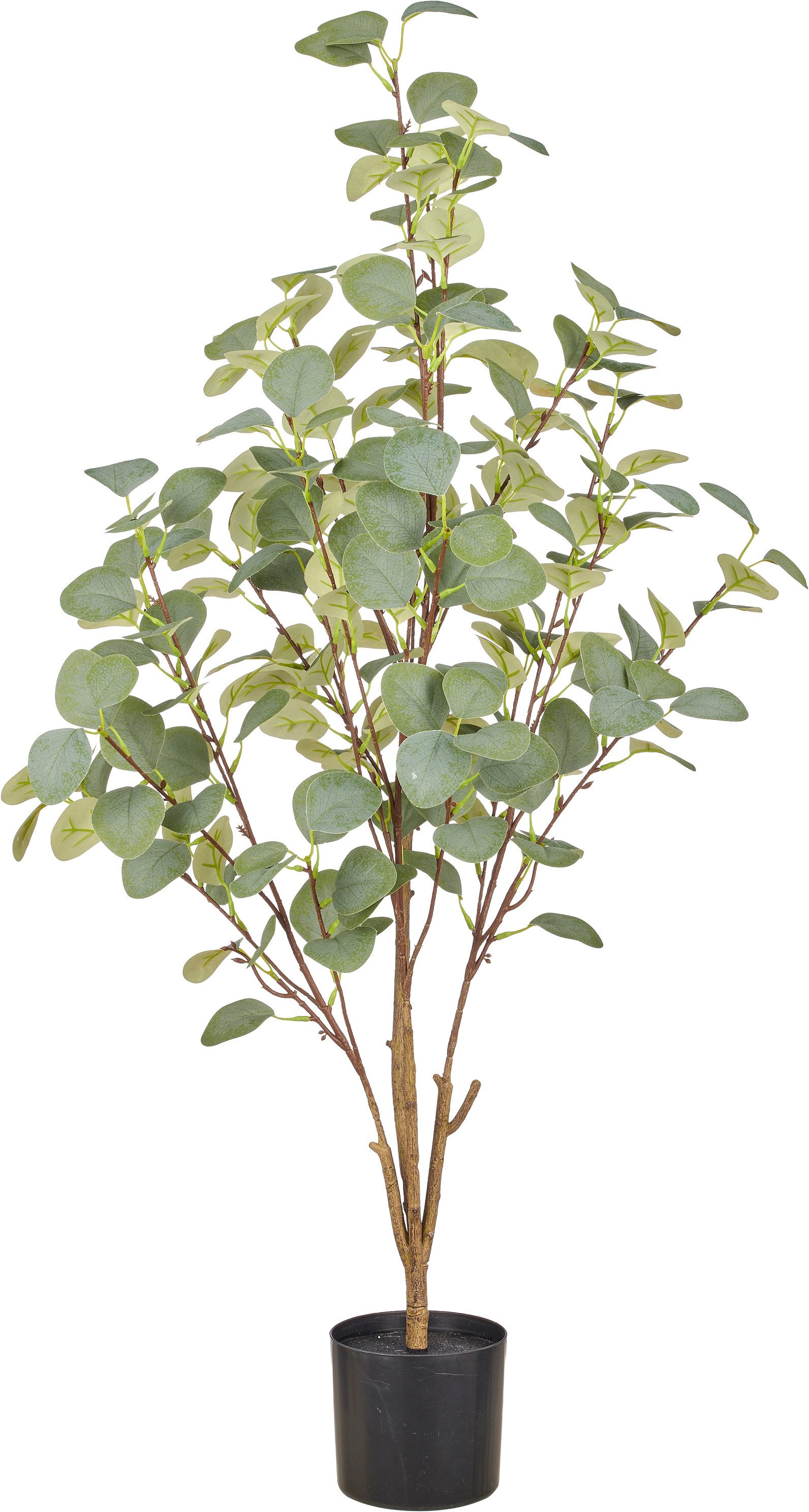 Kunstpflanze Eukalyptus, Creativ green, Höhe 100 cm, mit naturgetreuem Blattwerk