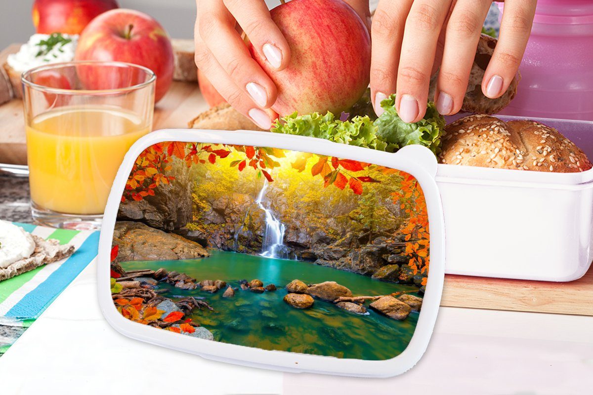 MuchoWow Lunchbox - Baum Herbst für Jungs Brotdose, (2-tlg), - Mädchen und Kunststoff, Erwachsene, Wasserfall für weiß - Kinder und Steine - Brotbox Rot