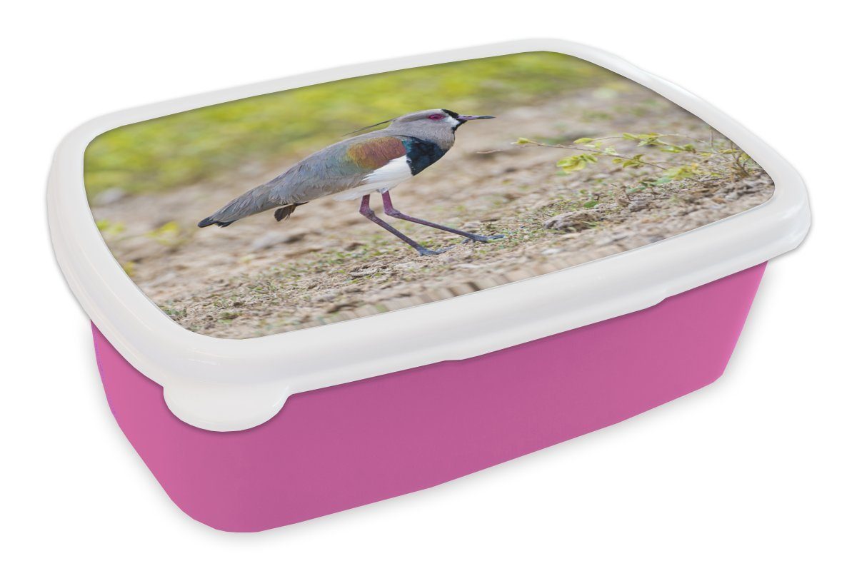 MuchoWow Lunchbox Kunststoff, (2-tlg), Mädchen, Farbiger für Kunststoff am rosa Kinder, Brotdose Brotbox Kiebitz Boden, Snackbox, Erwachsene