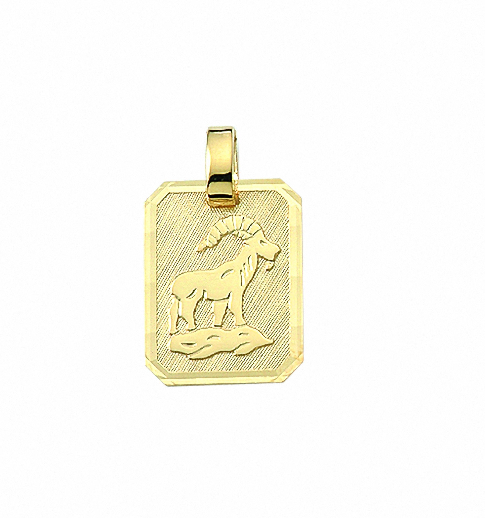 Sternzeichenanhänger Sternzeichen Anhänger Steinbock 333 Gold (8K)