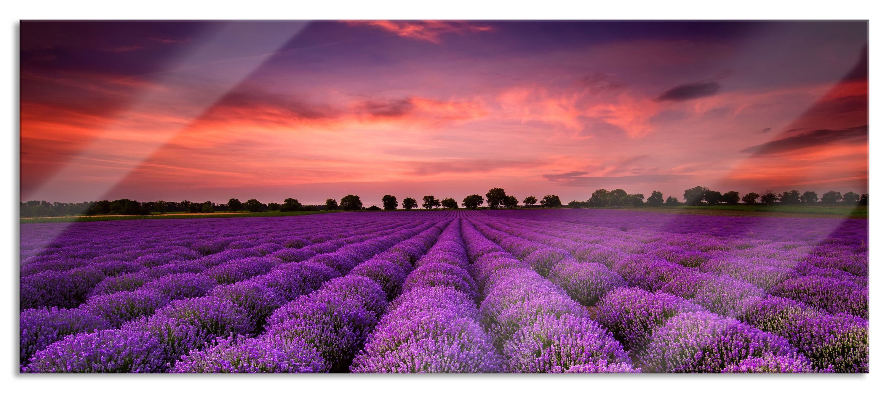 Pixxprint Glasbild Wunderschöne Lavendel Provence, Wunderschöne Lavendel Provence (1 St), Glasbild aus Echtglas, inkl. Aufhängungen und Abstandshalter