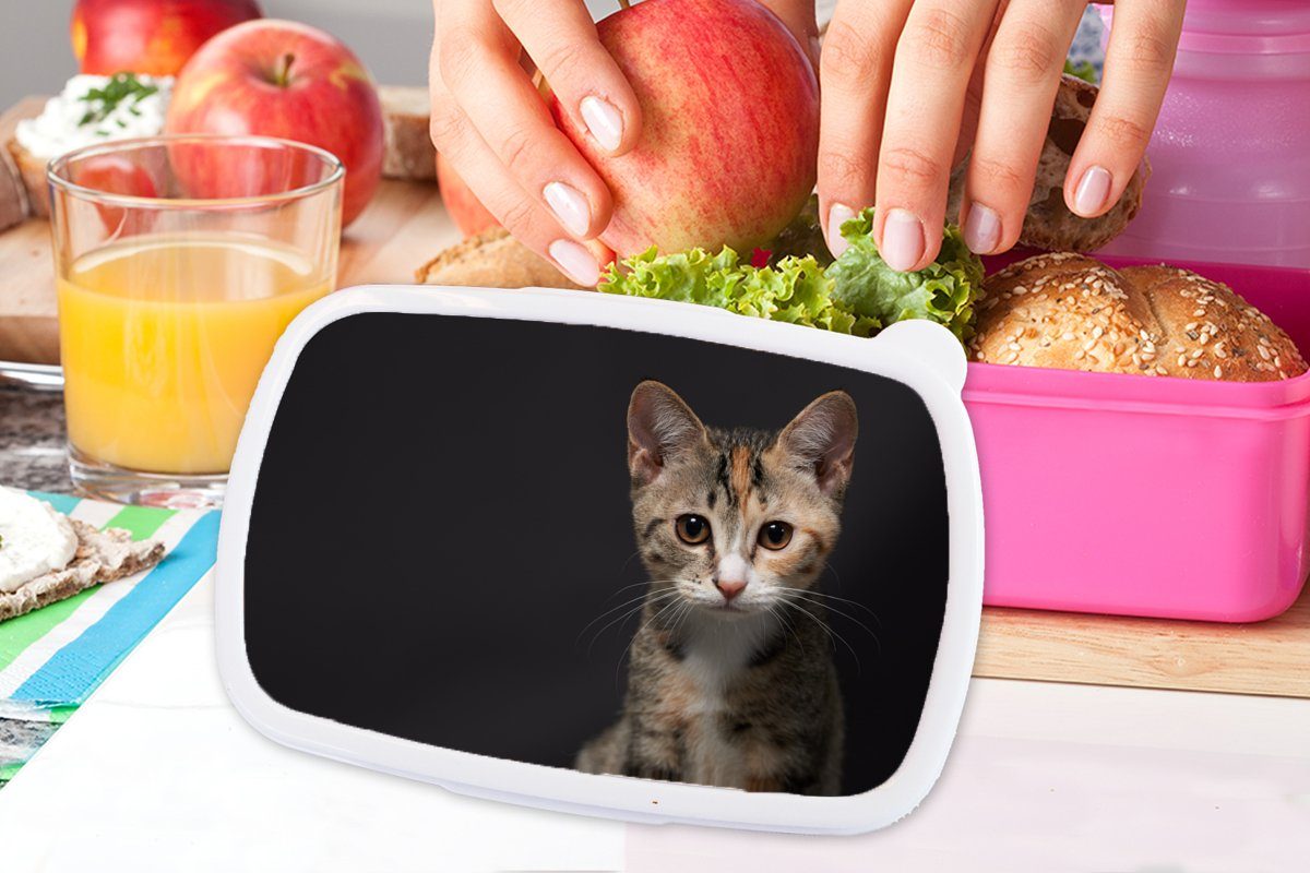 rosa Brotdose Lunchbox Katze für Brotbox MuchoWow Kunststoff Mädchen, Kinder, Schwarz Snackbox, Kunststoff, Erwachsene, - (2-tlg), - Porträt,
