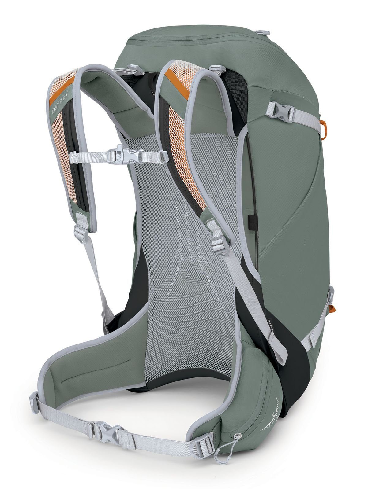 Rucksack Osprey Leaf Pine Green (Set)