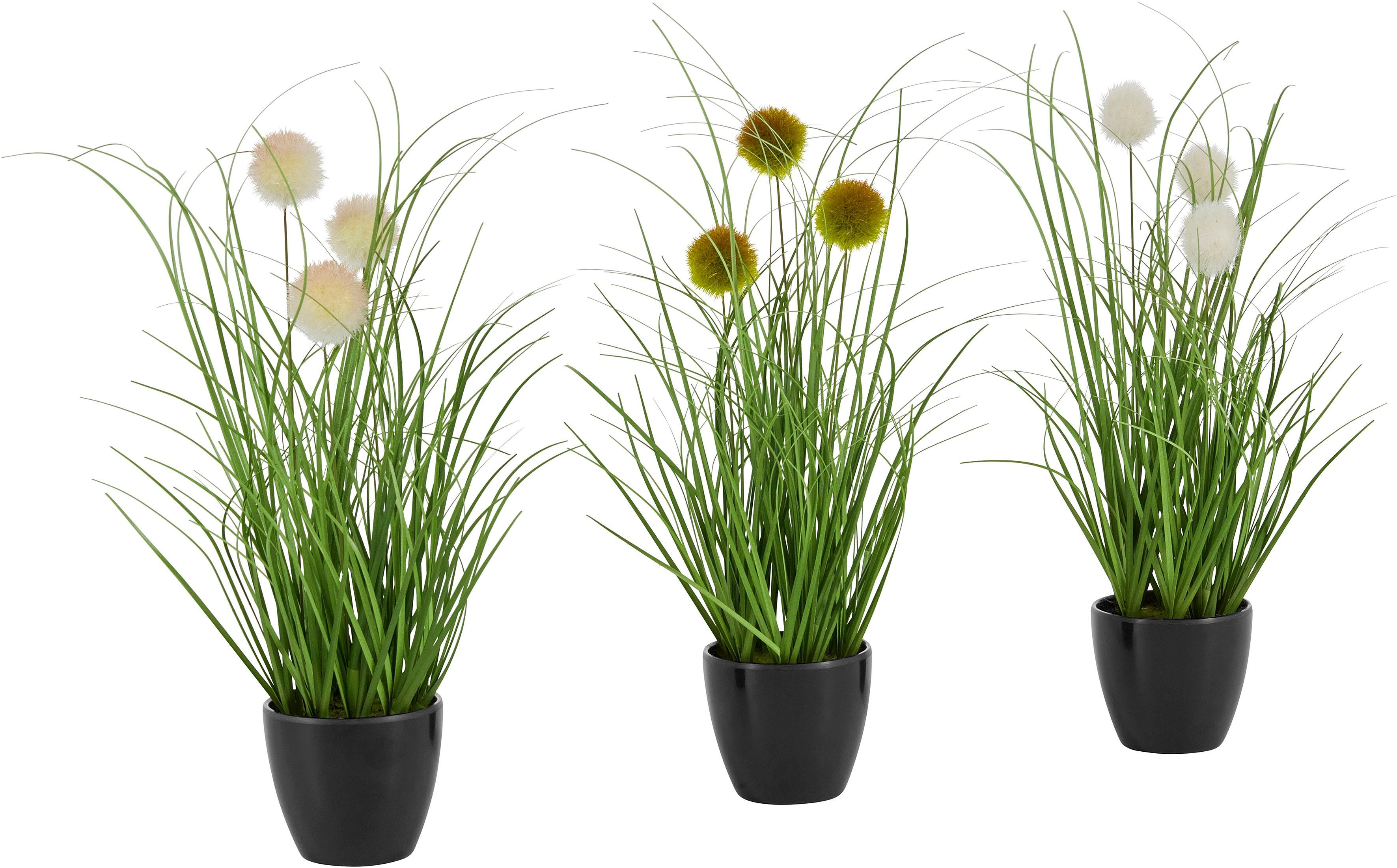 3er-Set Topf, Kunstpflanze, Leonique, Gras, mit Grasbusch 35 Kunstgras im cm, grün/schwarz Kletten, Höhe