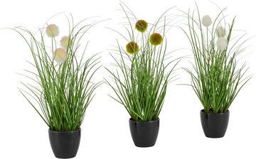 Kunstgras »Grasbusch mit Kletten«, Leonique, Höhe 35 cm, Kunstpflanze, Gras, im Topf, 3er-Set
