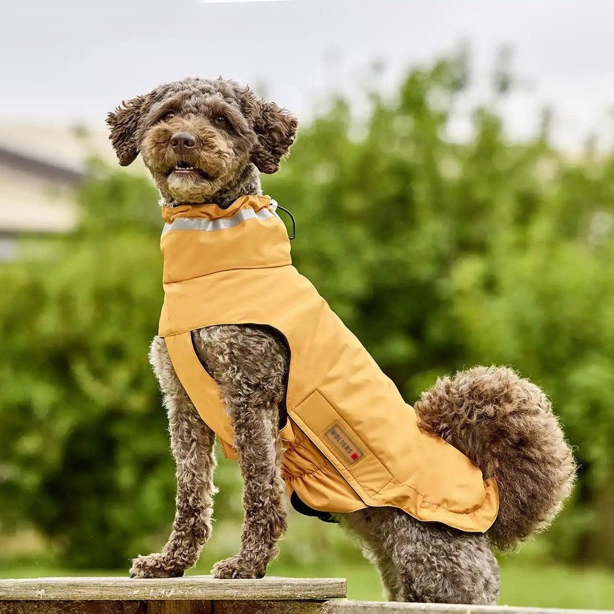 Wolters Hundemantel Outdoorjacke Modern Classic orange
