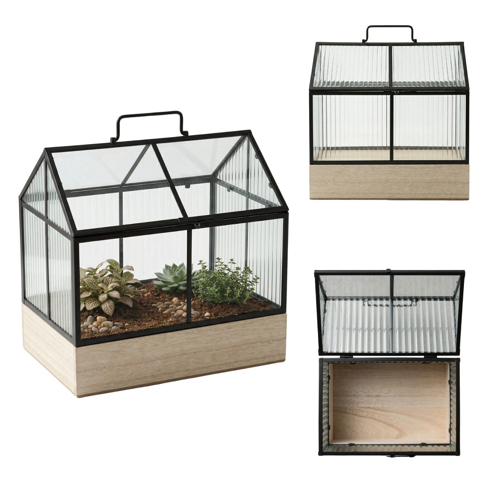SCENA LIVING Gewächshaus Mini-Gewächshaus mit Metallrahmen KALA, 30 x 26 x 18 cm – Bild 3 von 5