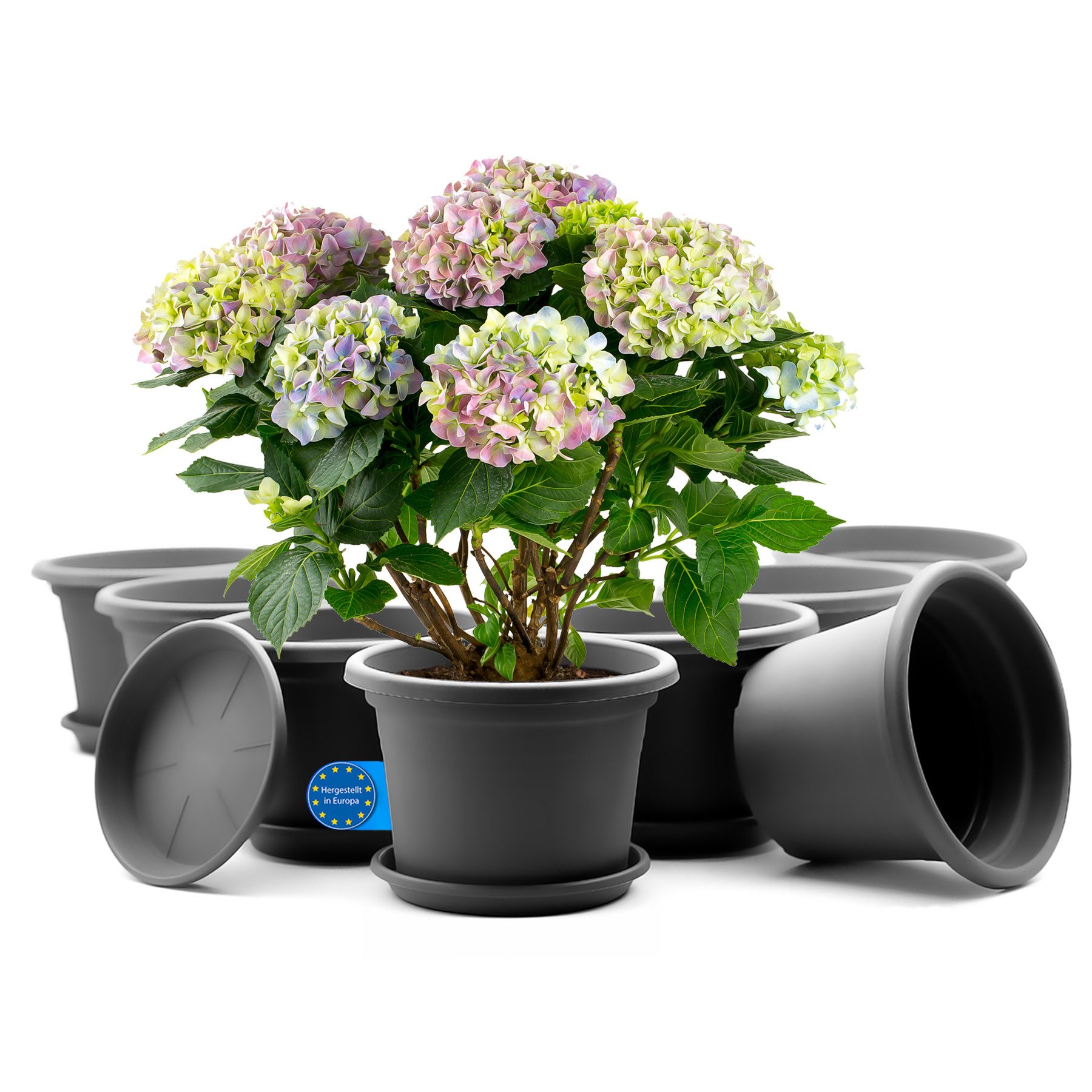 BigDean Blumentopf 8 Stück Pflanzkübel mit günstig online kaufen