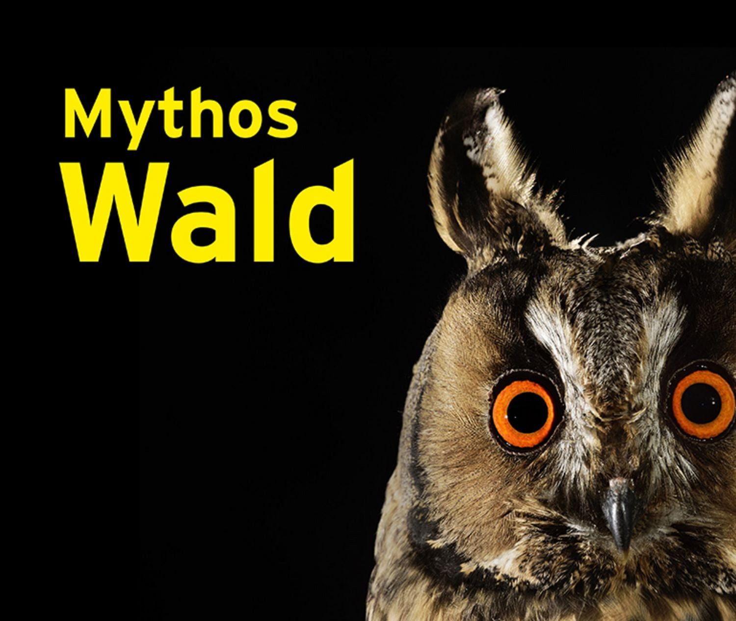 Mythos Wald / diverse