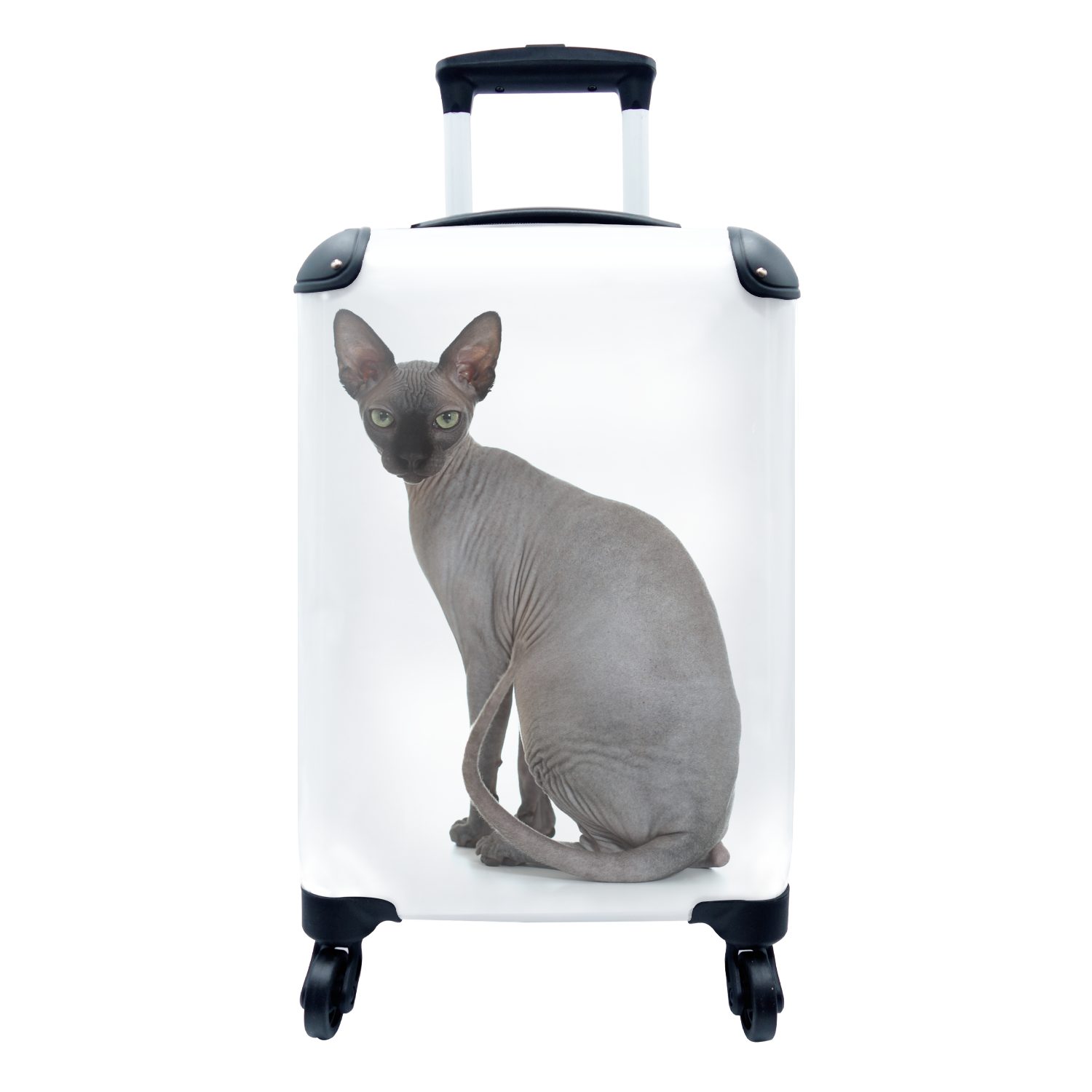 rollen, Hintergrund, Graue Reisekoffer Reisetasche MuchoWow auf weißem Trolley, Ferien, Handgepäckkoffer Sphynx-Katze 4 Handgepäck für Rollen, mit