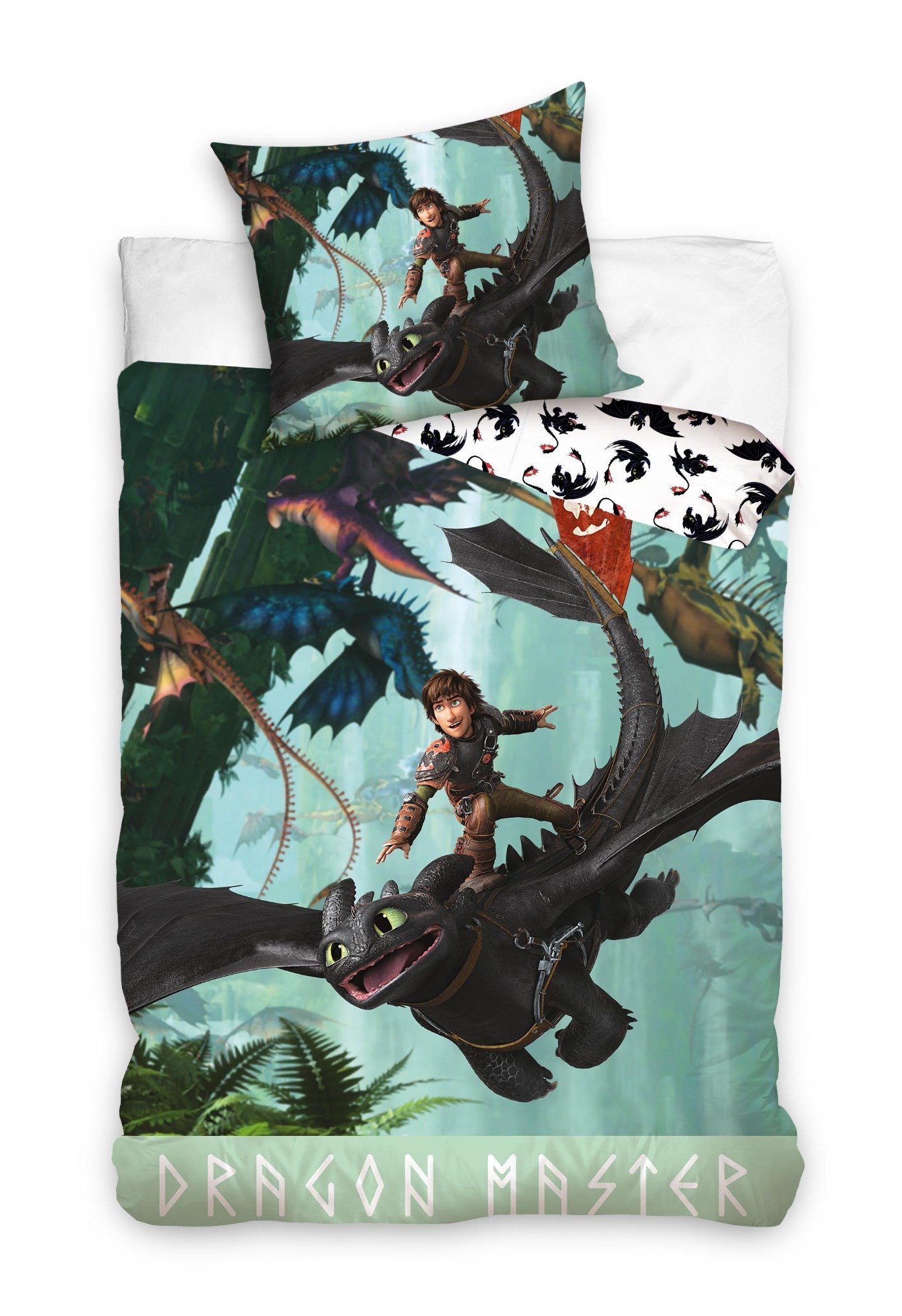 DreamWorks Bettwäsche Dragons Drachenzähmen leicht gemacht Kinderbettwäsche günstig online kaufen