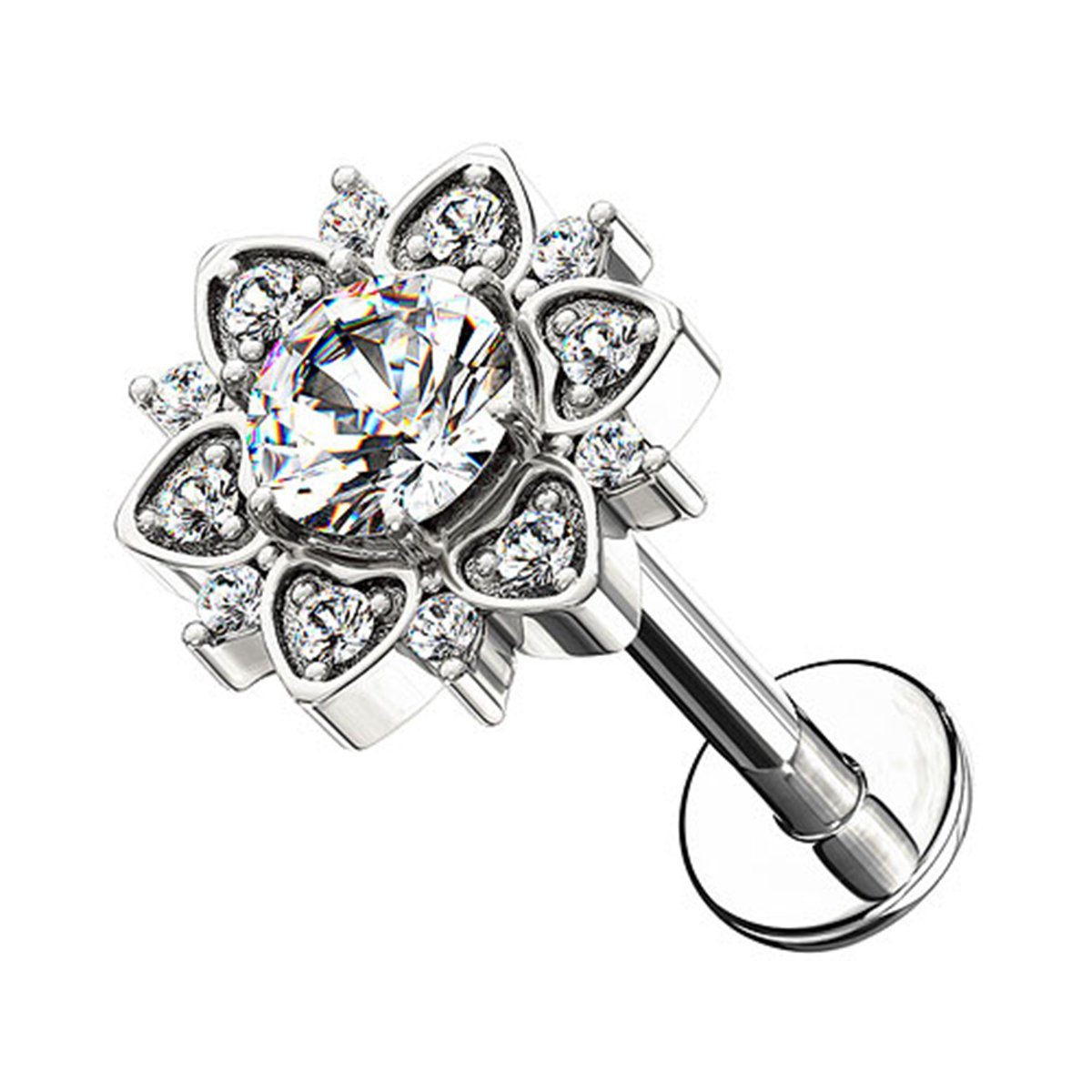 Taffstyle Piercing-Set Ohr Tragus Knorpel Labret günstig online kaufen